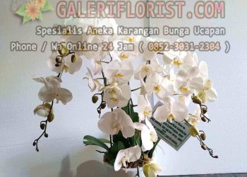 Bunga Meja Surabaya | BMSBY-02