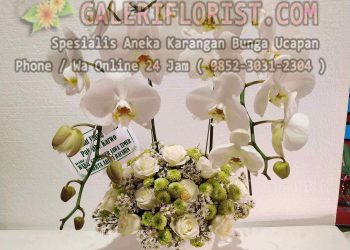 Bunga Meja Surabaya | BMSBY-05